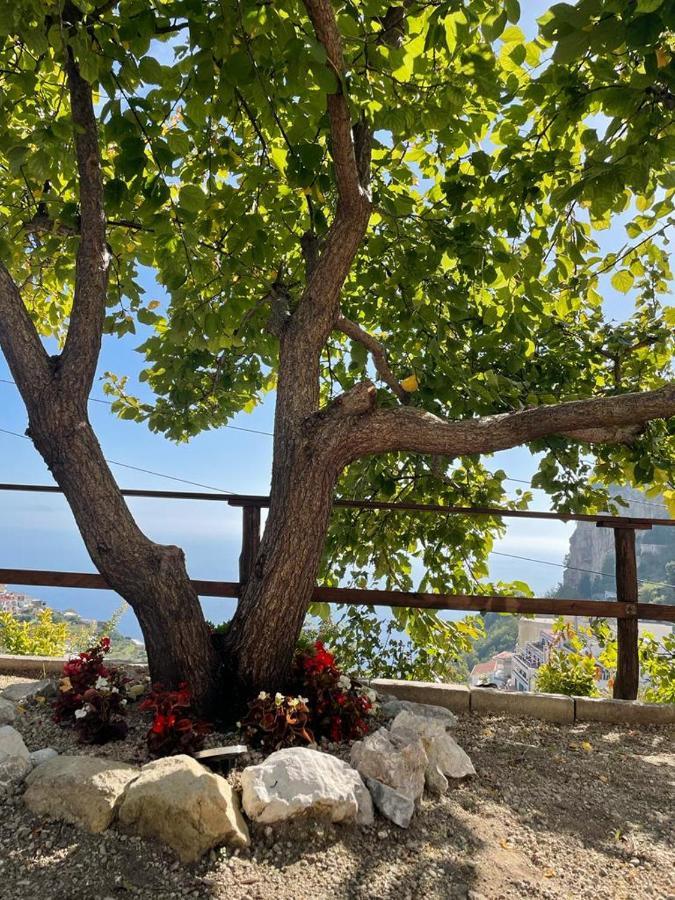 Casa Enzo Appartement Amalfi Buitenkant foto